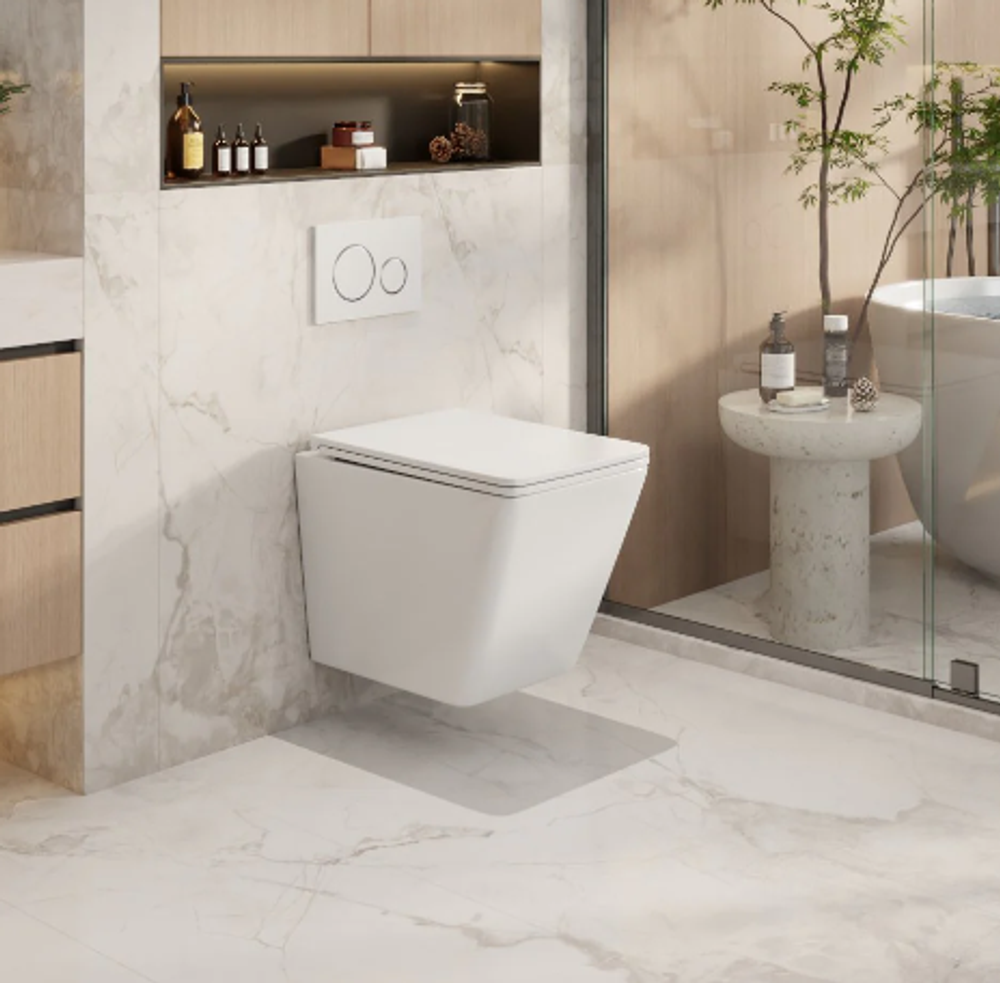 Enox66 Wall Hung Pan