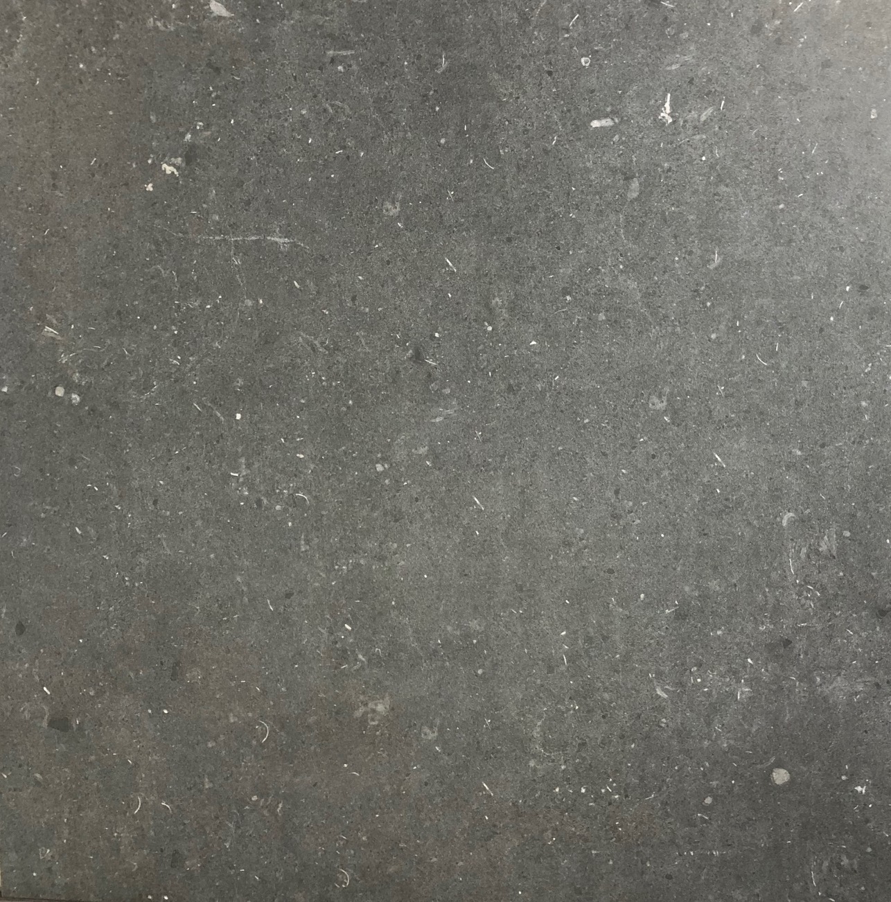 Heritage Reef Nero Matt 60x60cm