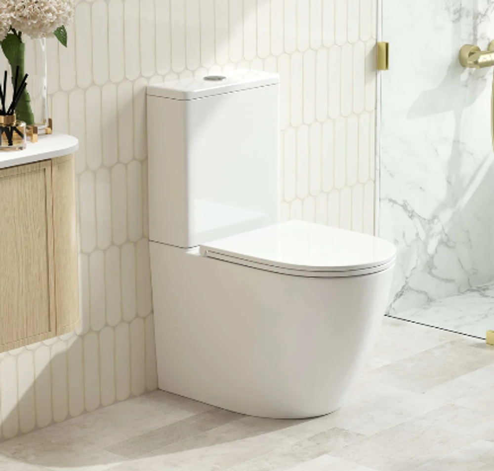 Diana Back to Wall Toilet Suite