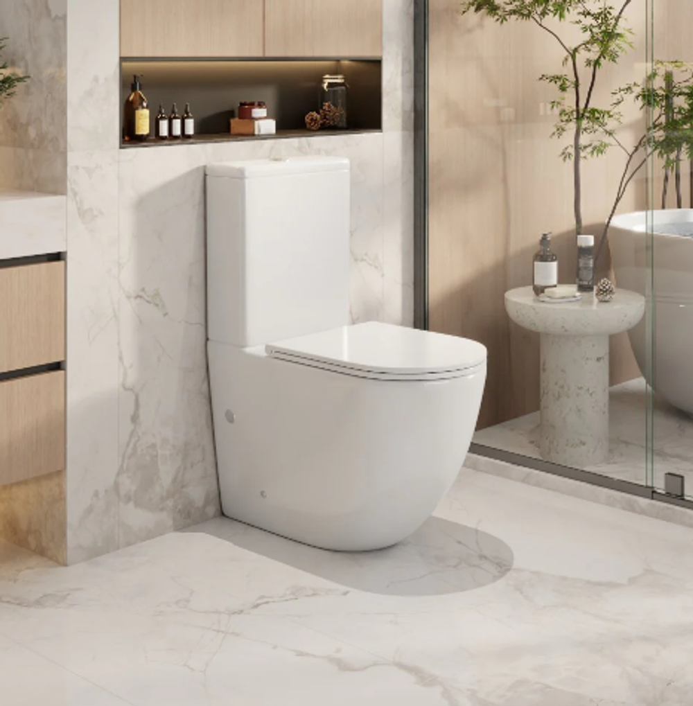 Norton Back To Wall Toilet Suite