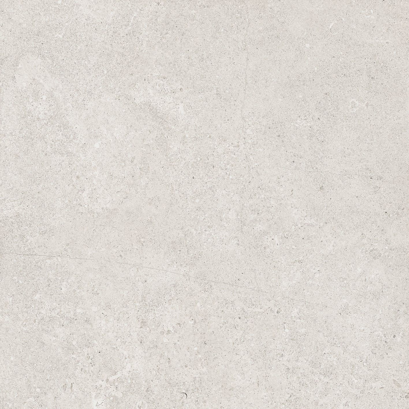 French Stone Bone
