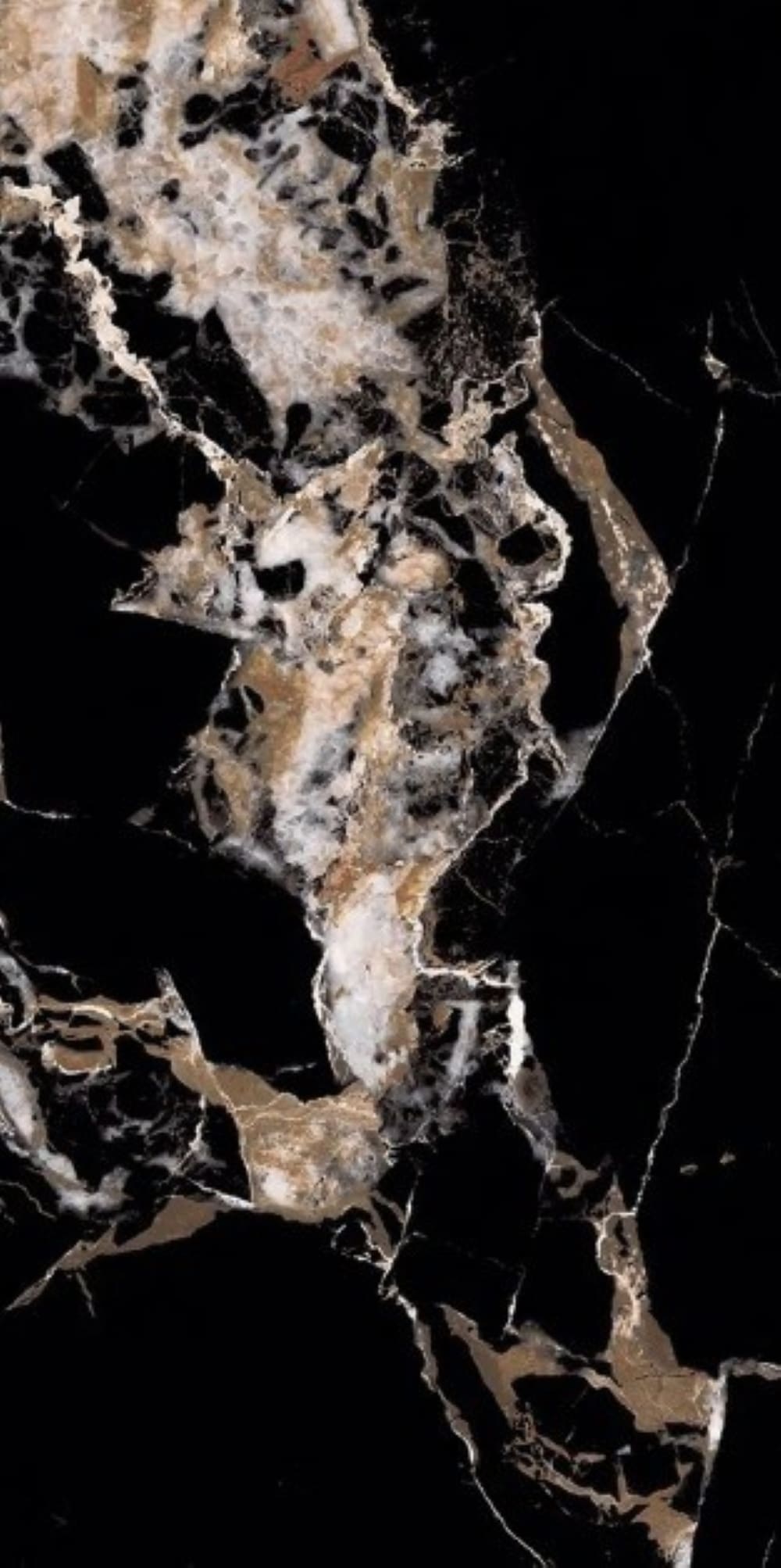 Bosco Nero