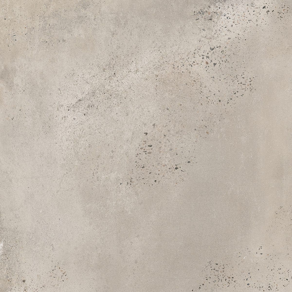 Kiewarra Grey