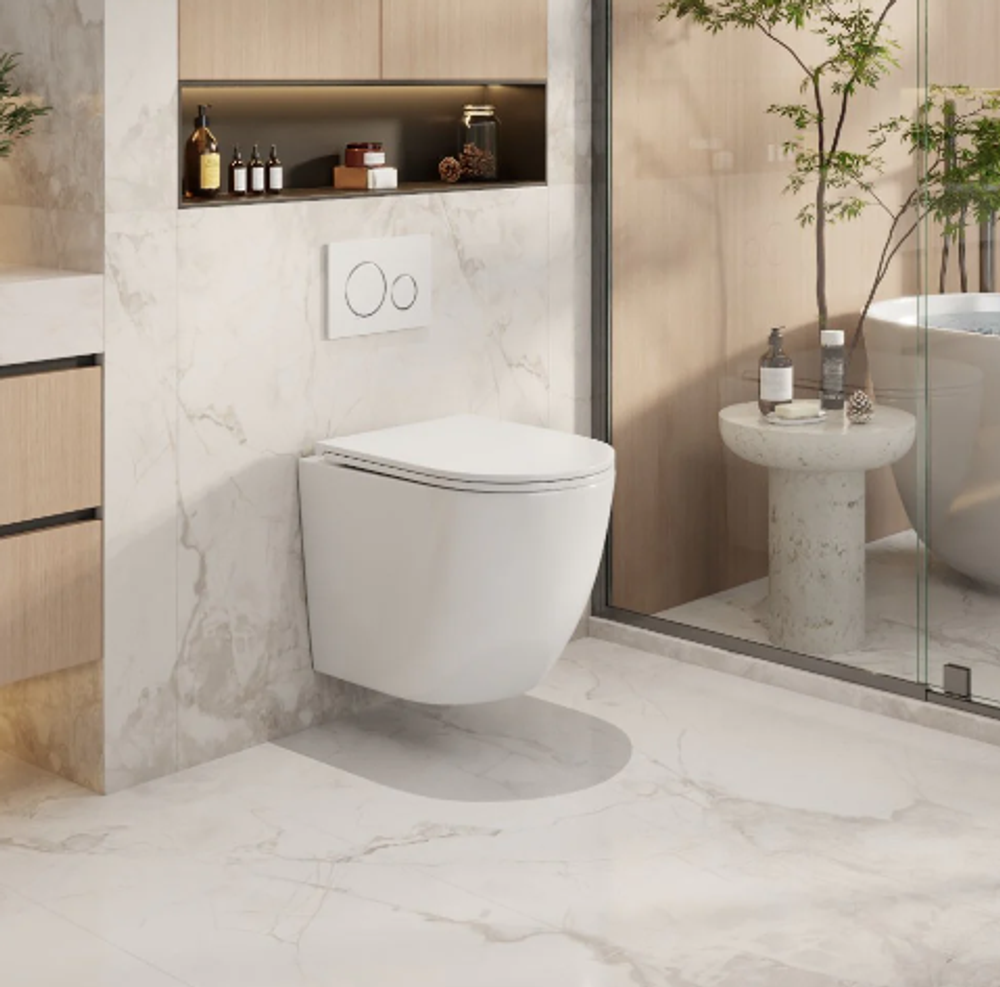 Raul66 Wall Hung Pan
