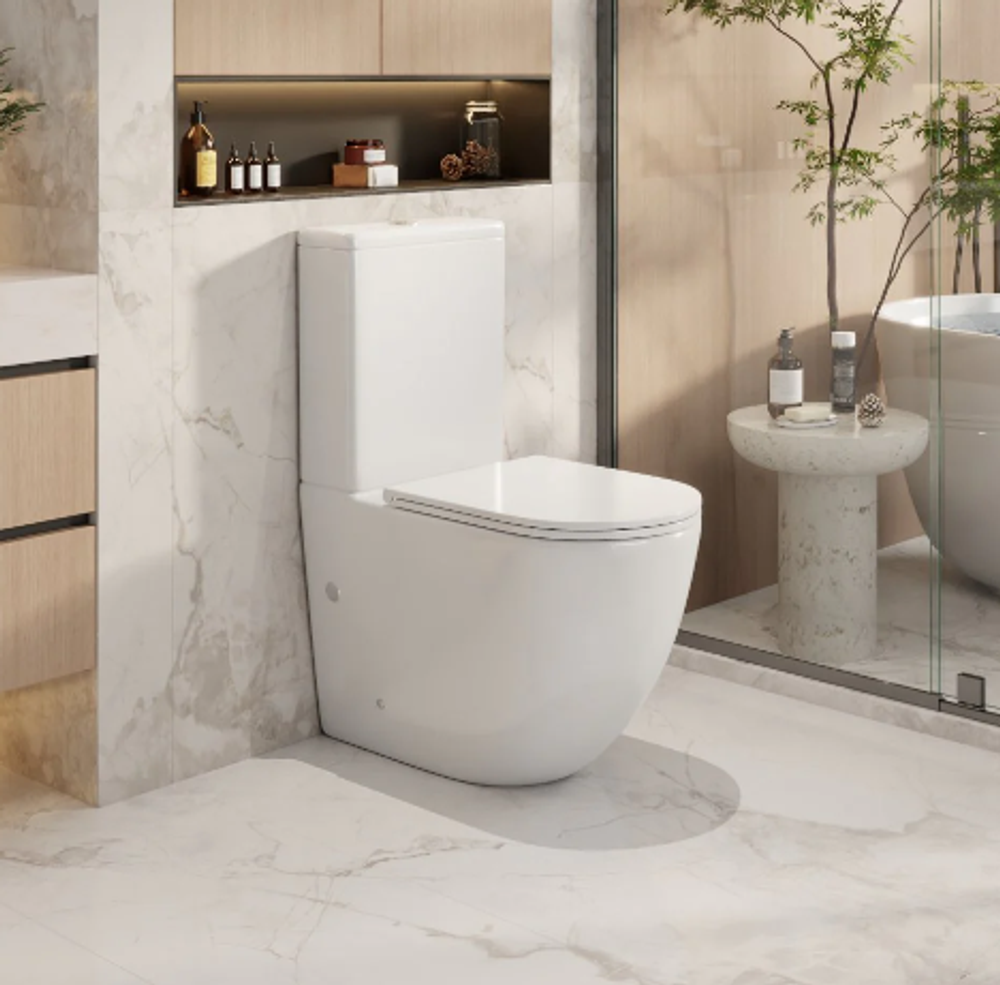Hani Back To Wall Toilet Suite
