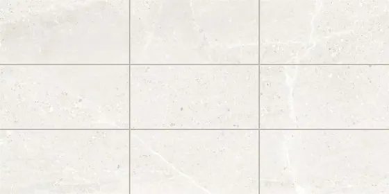 Monza Cloud 30x60 SurfaceTec® Scoring