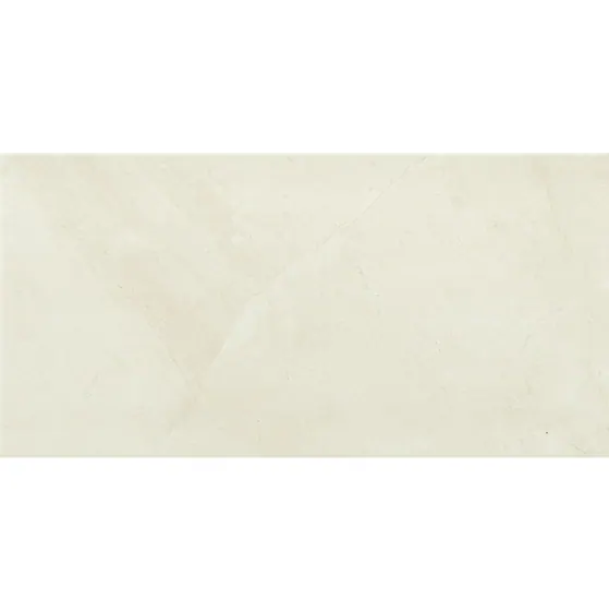 Caliza Natural Gloss Wall Tile 300×600 S35