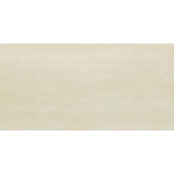 Serio Lite Gloss Wall Tile 300×600 S35